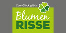 Logo Blumen Risse GmbH & Co KG in Moers